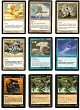 dragon-mtg6.jpg
