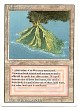 dl-mtg-4a.jpg