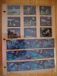 stamps79b.jpg